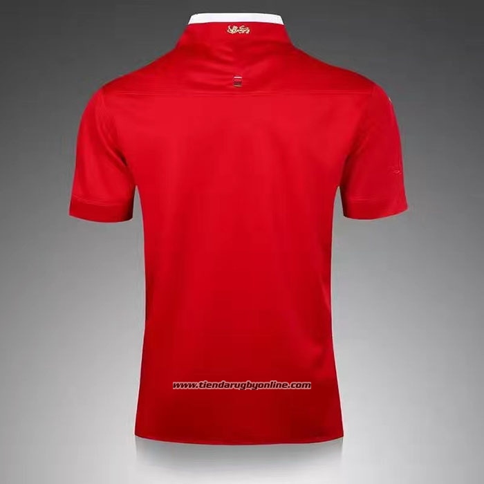 Camiseta lions rugby 2025
